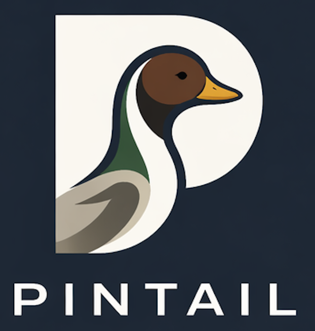 Pintail
